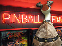 December 2009 Pinball Picnic