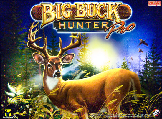 Big Buck Hunter Pro