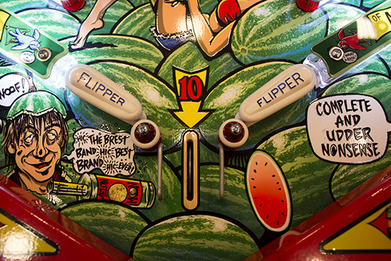 The game features two small flippers