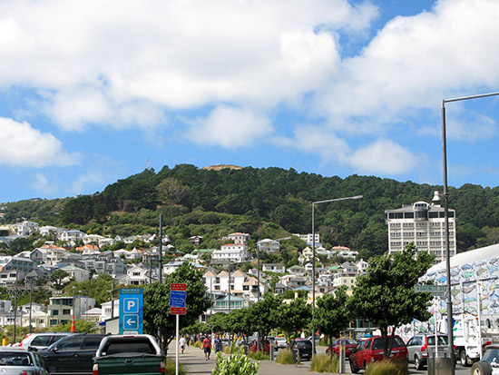 Mount Victoria in Wellington