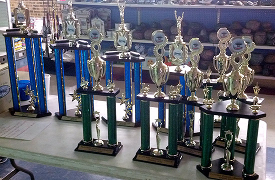 The tournament trophies are those with blue trim, while the green trophies were for the Flippers League winners