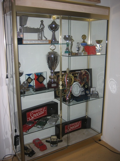 Did you remember to equip your new pinball room with a trophy cabinet?