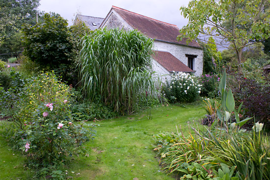 The gardens at the back of the café